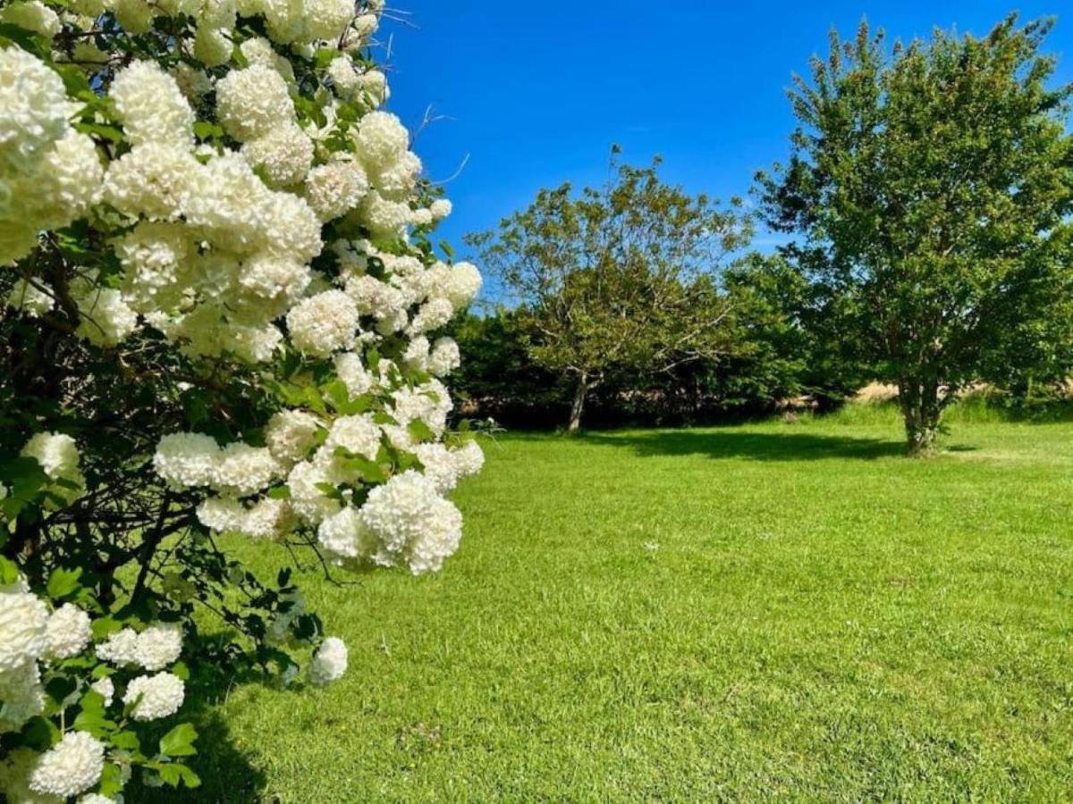 La Ferme Du Bois De Plottes Bed & Breakfast Екстериор снимка